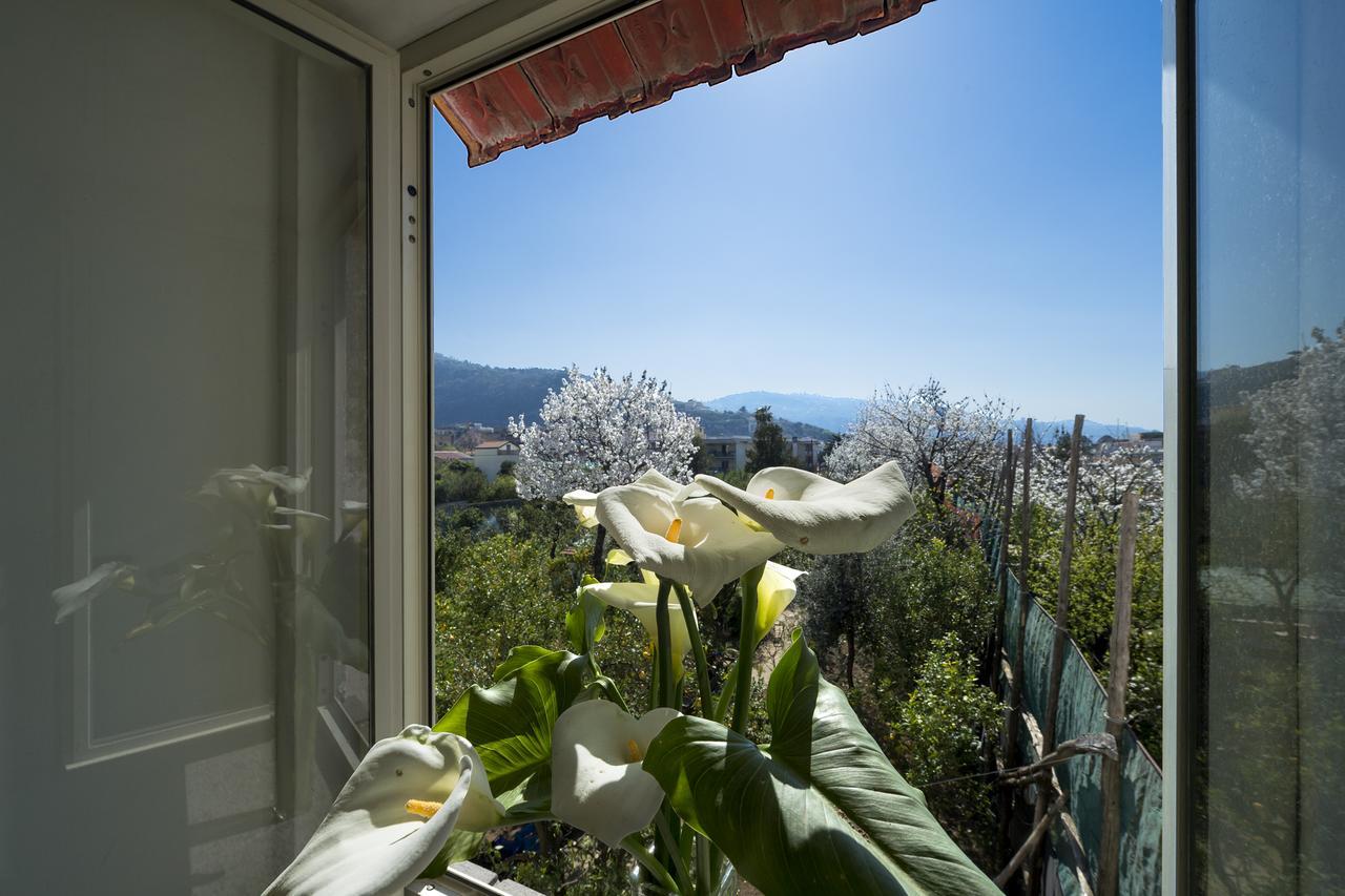 Casa Lina Villa Sant'Angelo  Eksteriør billede